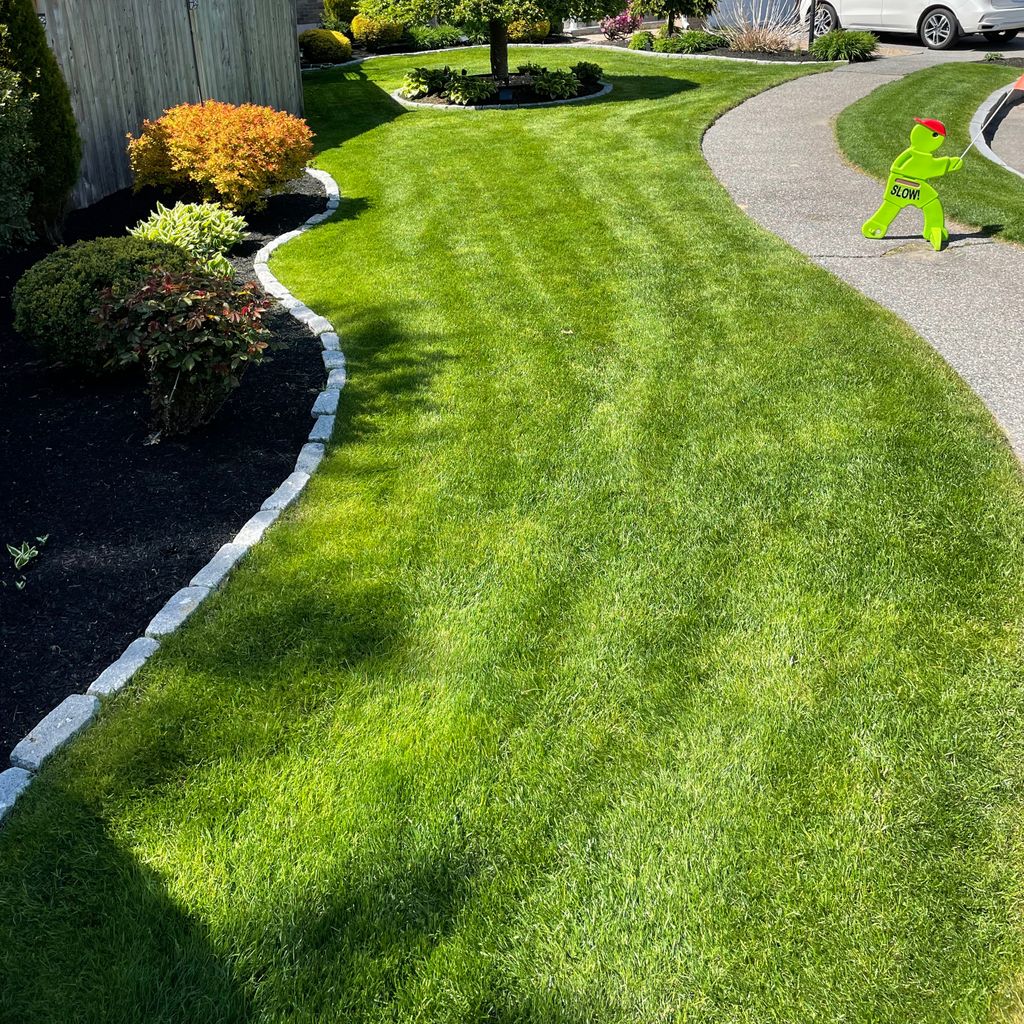 J Nolasco Pro Landscaping