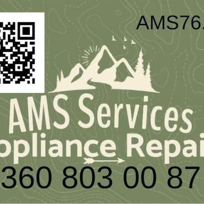 AMS Services
