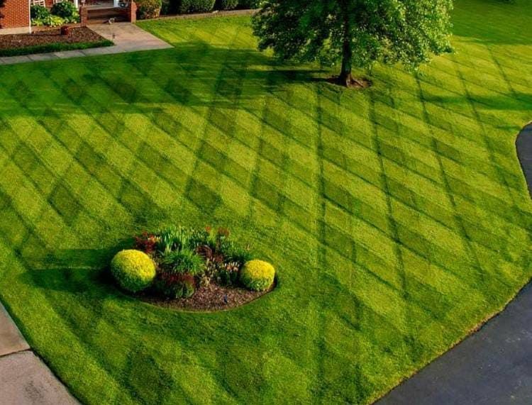 Commercial Mowing