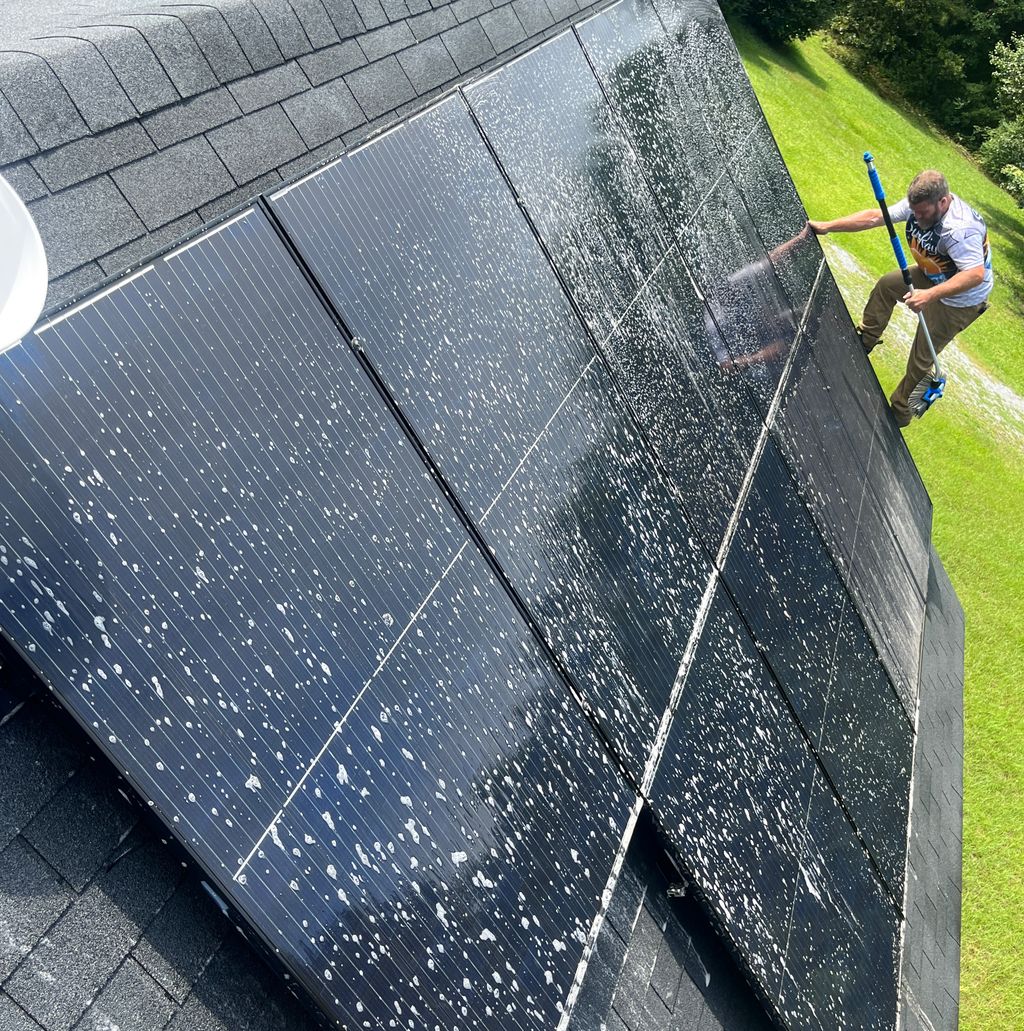 Local home cleaning and maintenance