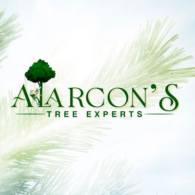 Avatar for ALARCON’S Tree Experts LLC