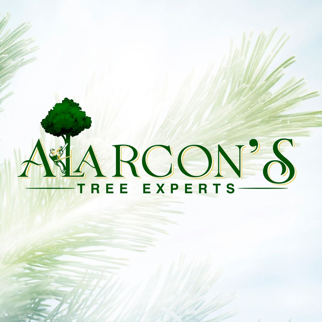 ALARCON’S Tree Experts LLC