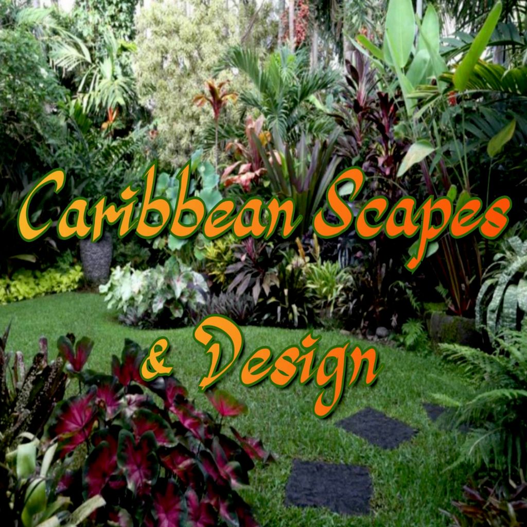 Caribbean Scapes & Design