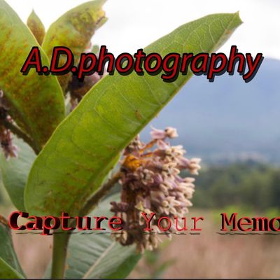 Avatar for A.D.Photography