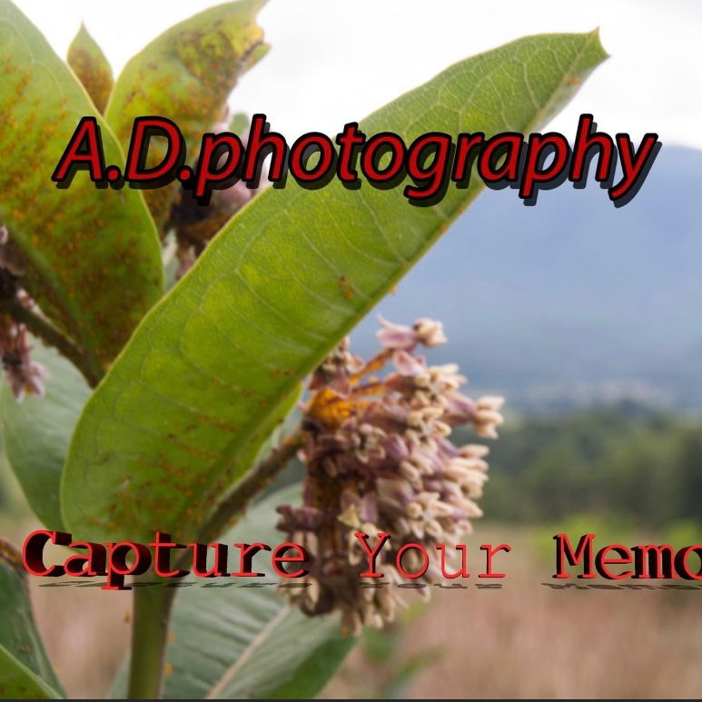 A.D.Photography