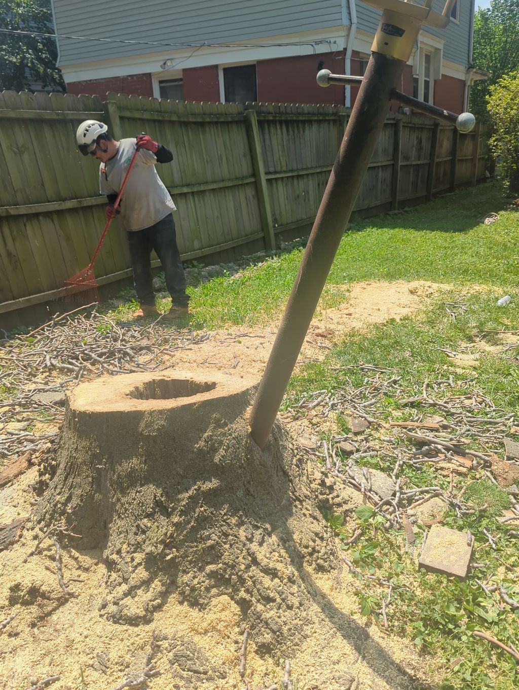 Tree Stump Grinding and Removal