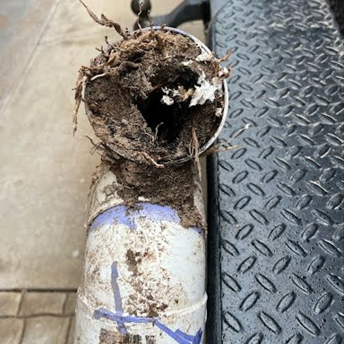 Roots in Main Sewer Line