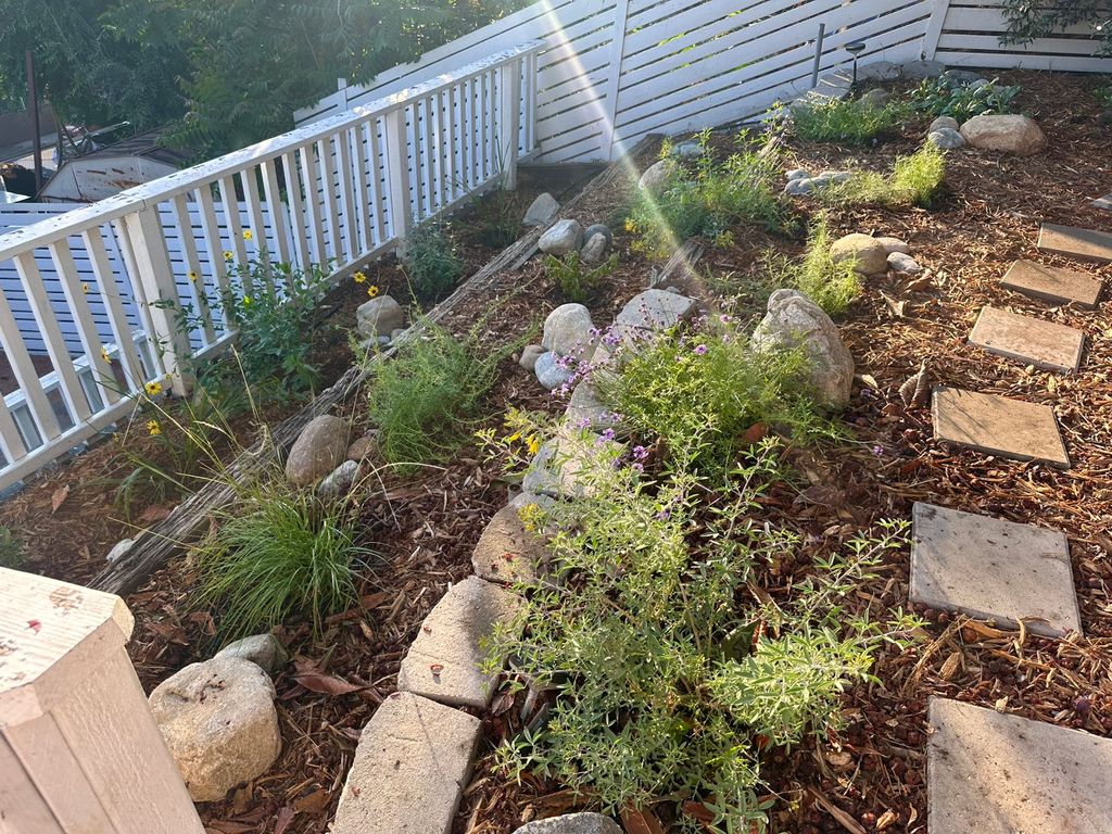 Native Garden 2 months post installation 
