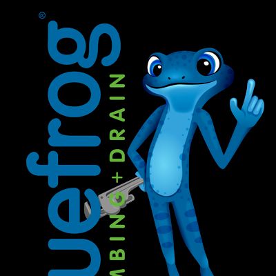 Avatar for Bluefrog Plumbing + Drain
