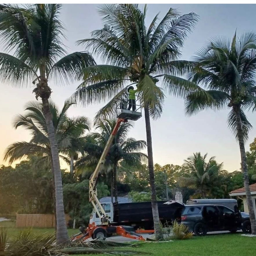 Not Just Grass Lawn Service