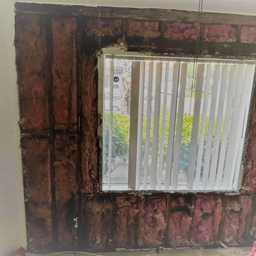 Mold job (bedroom) - removal of dry wall recommend