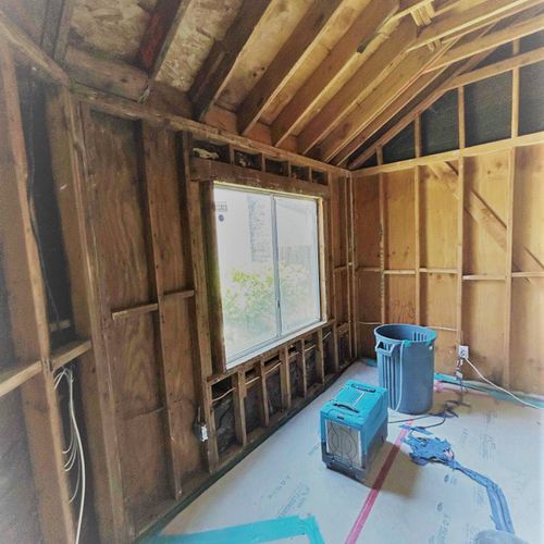 Mold job (bedroom) - insulation removed, walls cle