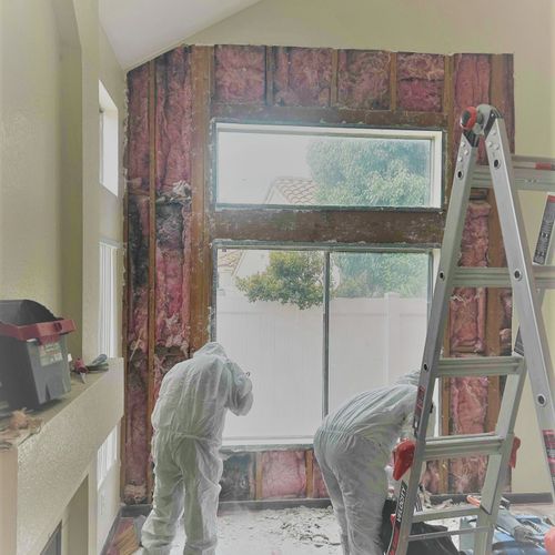 Mold job (family room) - removal of dry wall recom
