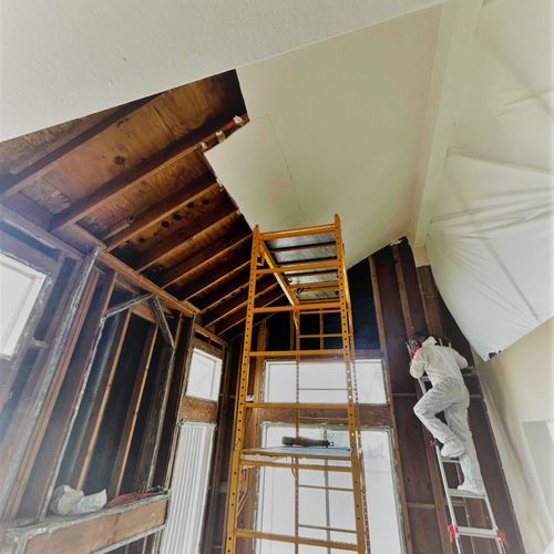 Mold job (family room) - removal of insulation, wa