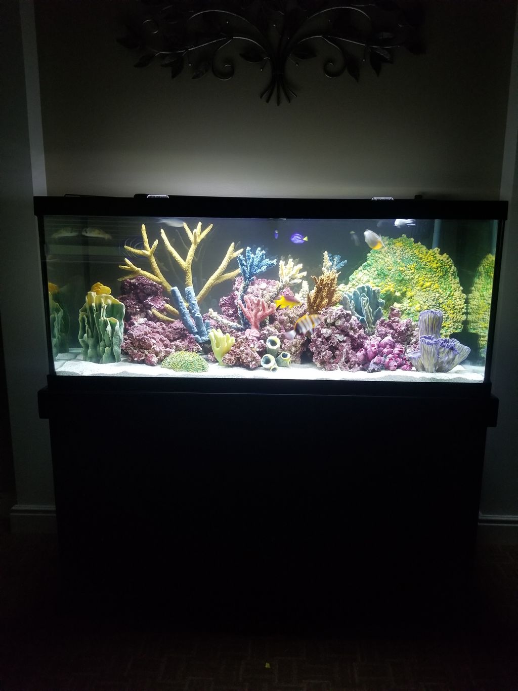 Aquarium Services