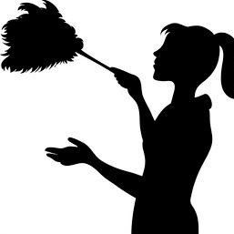 Maid for Perfection Cleaning Services