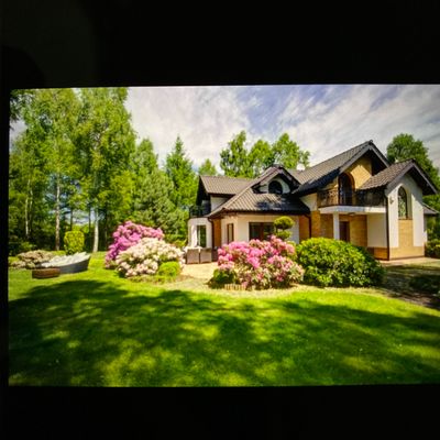 Avatar for Gustavo Ramirez Tree services