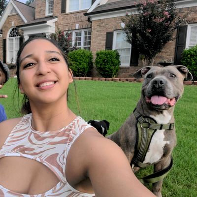 Avatar for Doggy Care By Eri