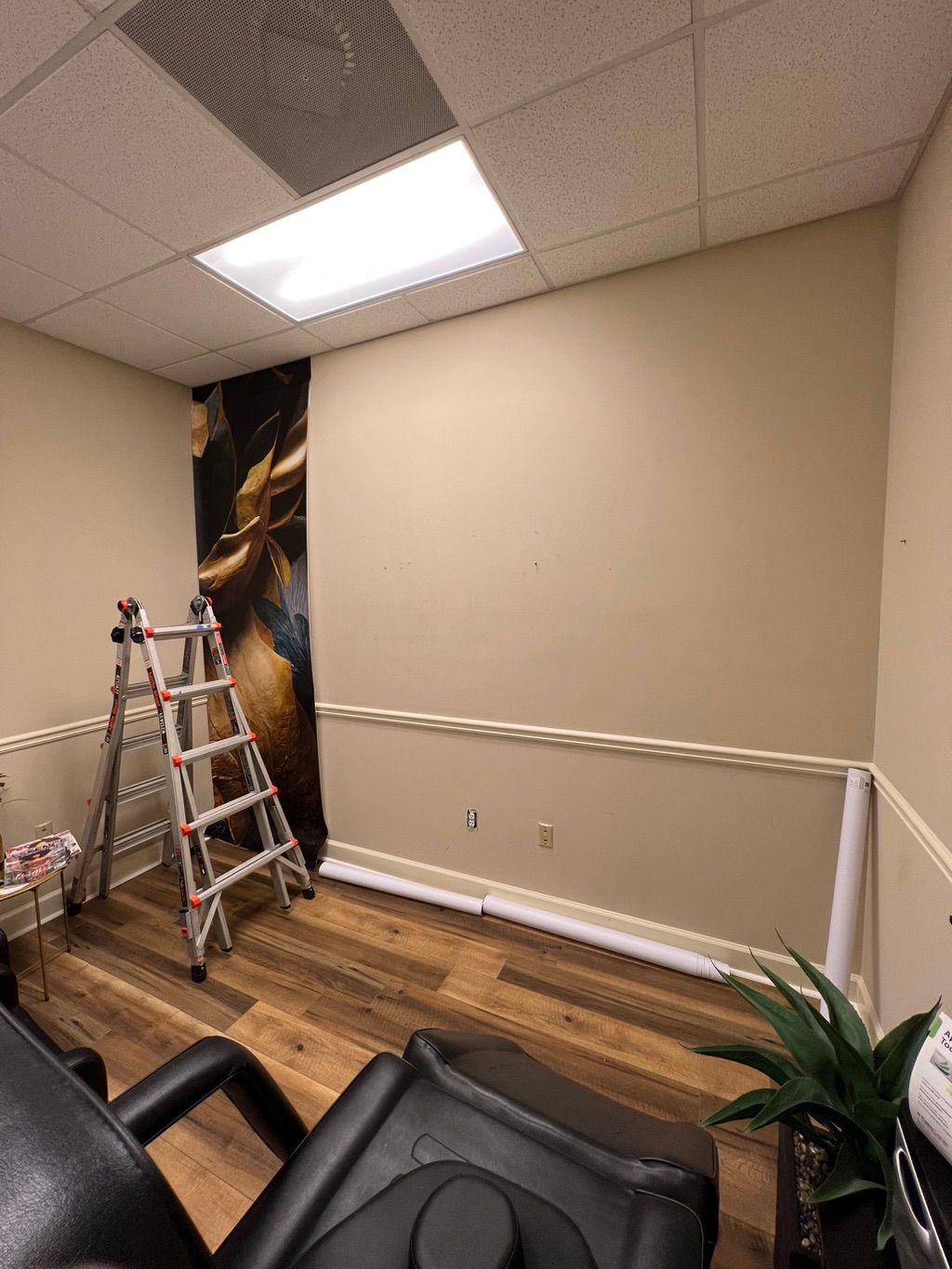 Projects and media