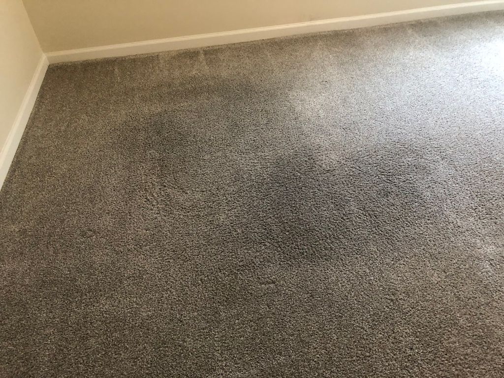 Came out great!
