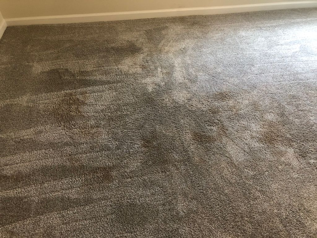 Heavy urine stains…