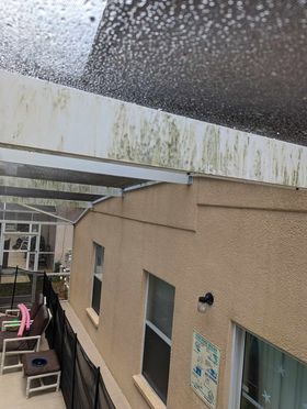 Pool Cage Pressure Wash After Photo