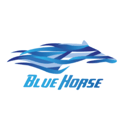 Avatar for Blue Horse