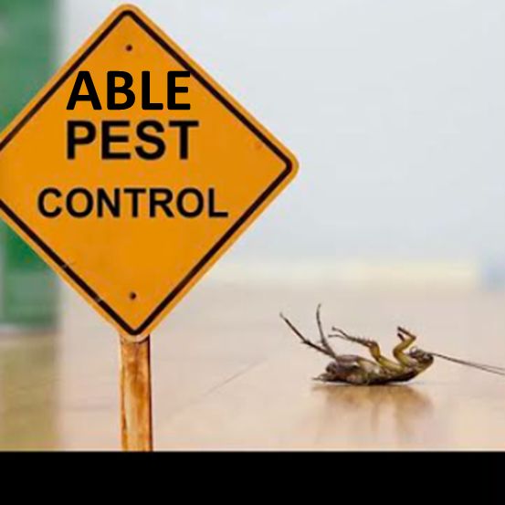 Able Pest Control, Inc.