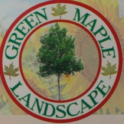 Avatar for Green Maple