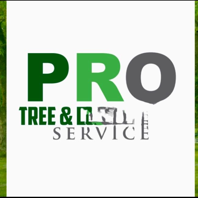 PRO Tree And lawn care Serv