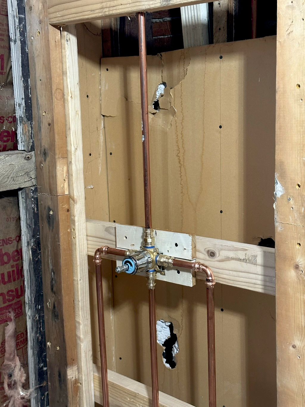 Shower Remodel