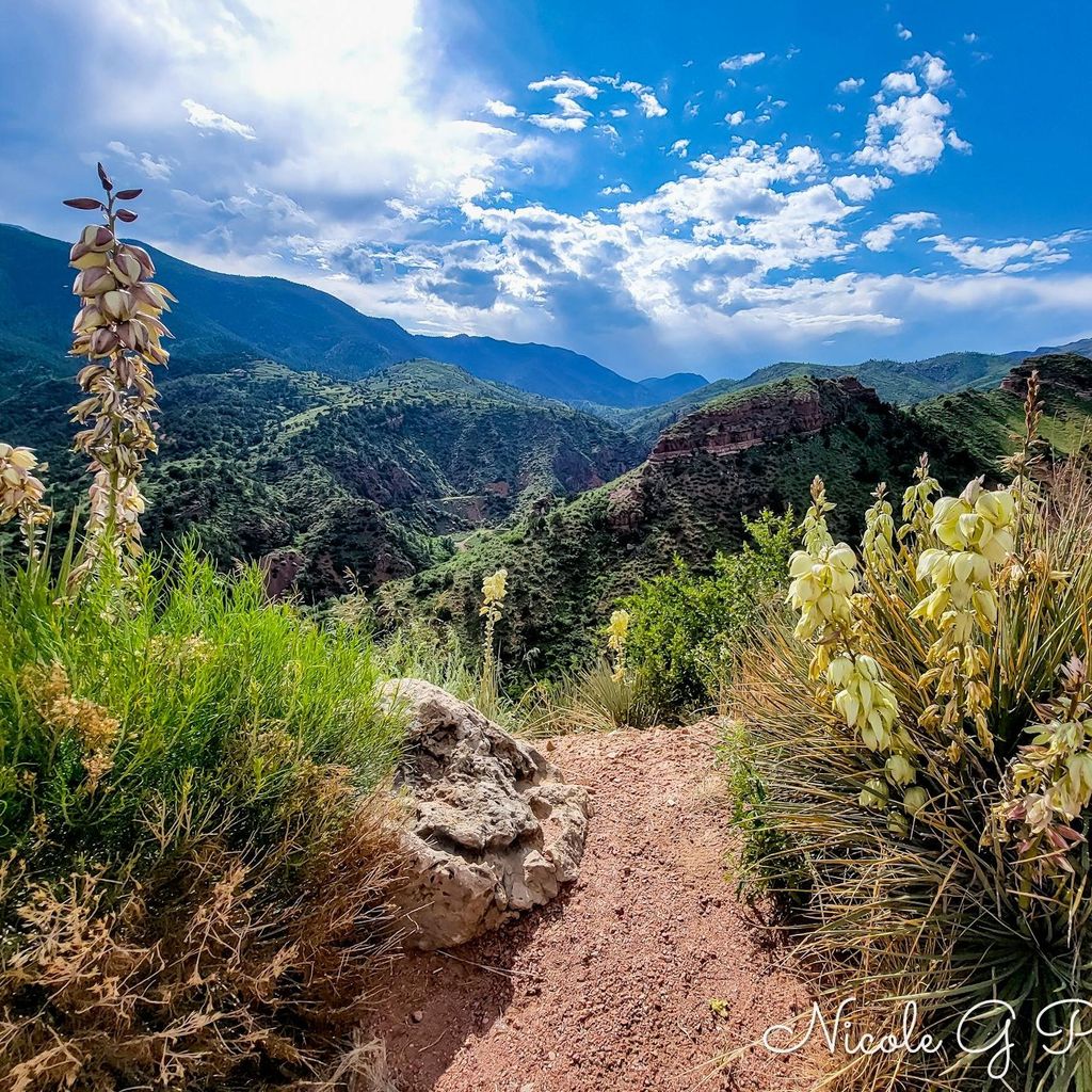 Nicole G Photography