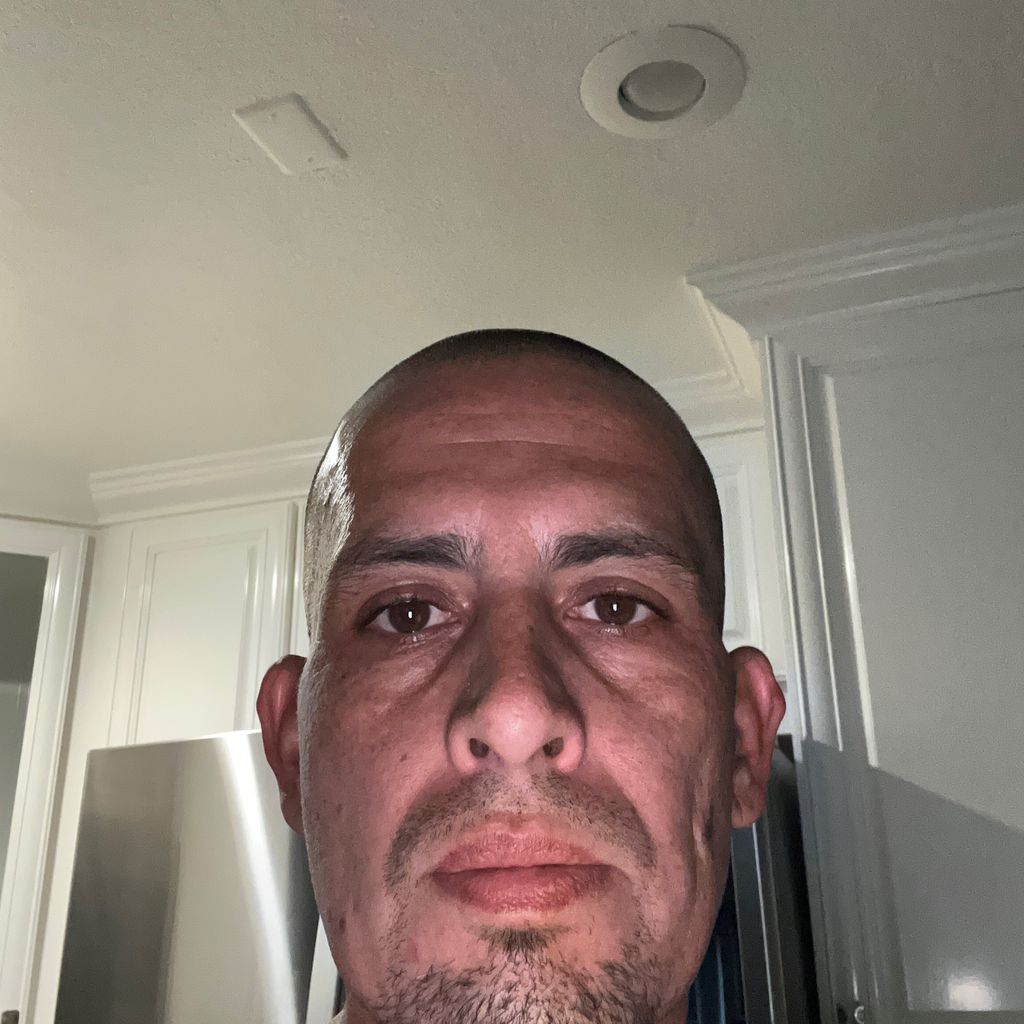 pro avatar