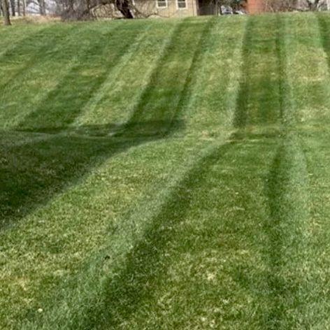 Morales lawn care