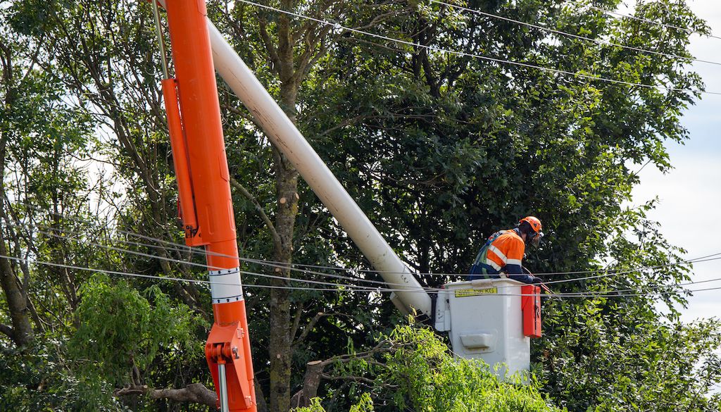 arborist cutting down or trimming trees near power line