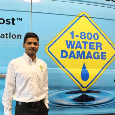 Avatar for 1-800 Water Damage of SanJose