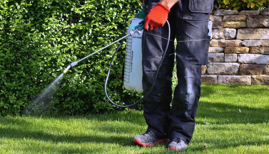 pro applying herbicide to lawn grass