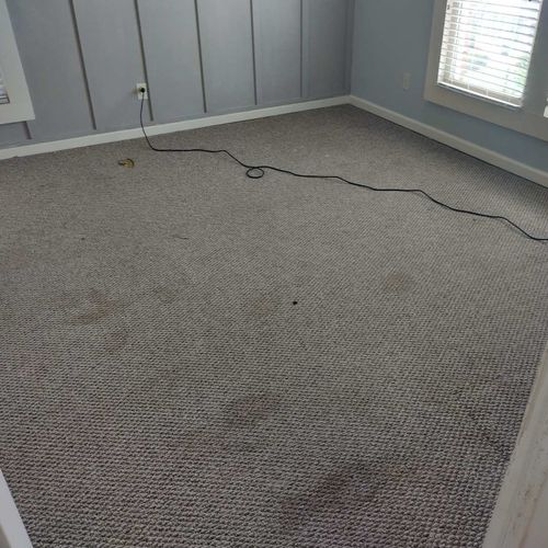 Carpet before a deep cleaning