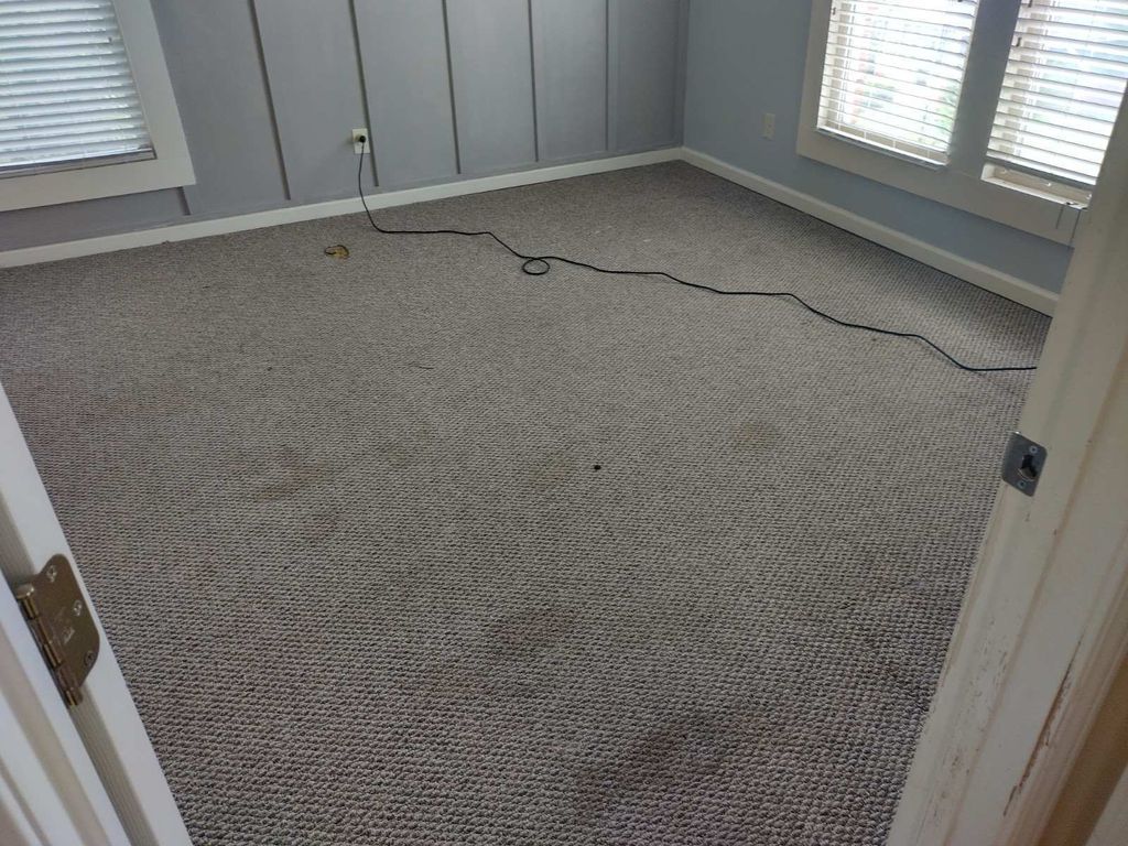 Carpet before a deep cleaning