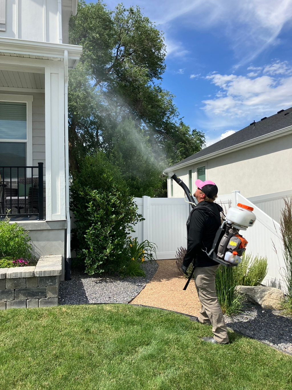 This is how I get the mosquitoes, mayflies, elm se