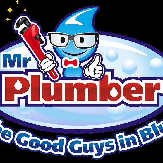 Mr. Plumber