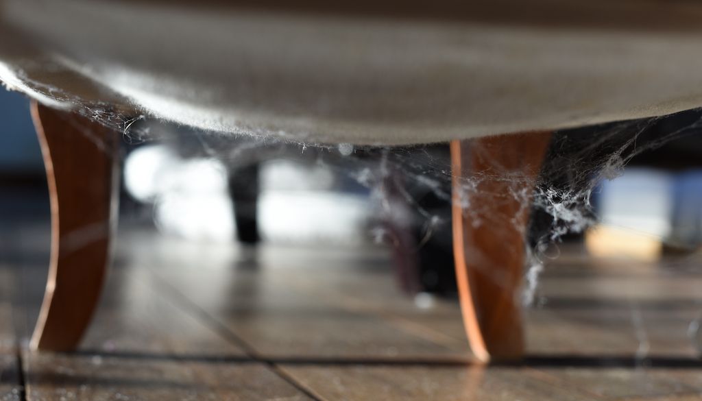 spider web at the bottom of chair furniture