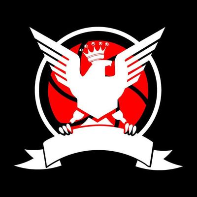 Avatar for Pro Install