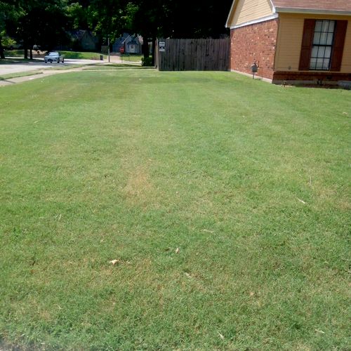 Superior Lawn Care did a great job on my lawn toda