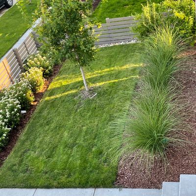 Avatar for Sharp Lawn,Tree & Landscaping