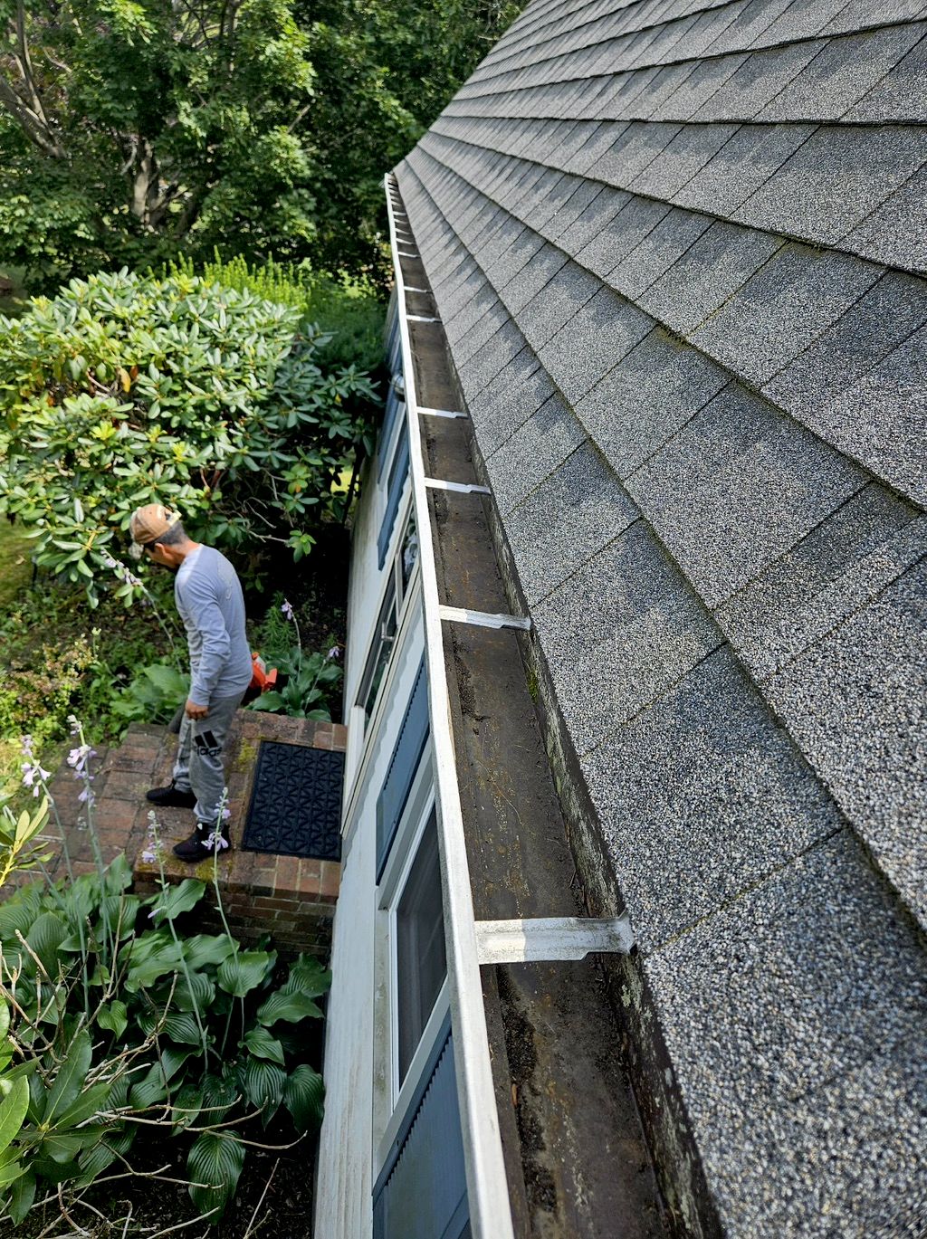 Customer photos