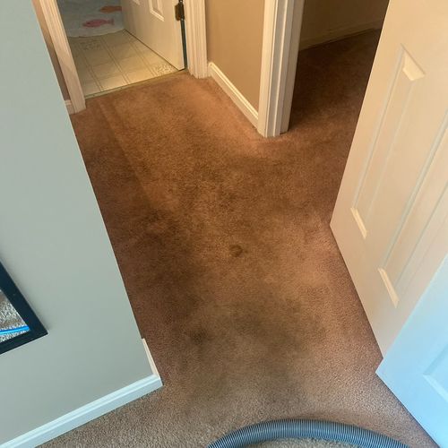 I needed carpets cleaned quickly for my rental pro