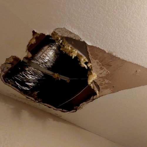 I had a big hole in my ceiling. He was very profes