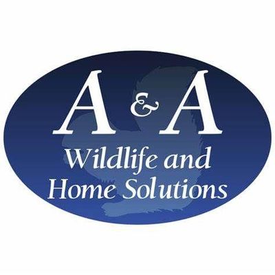 Avatar for A & A Wildlife and Home Solutions