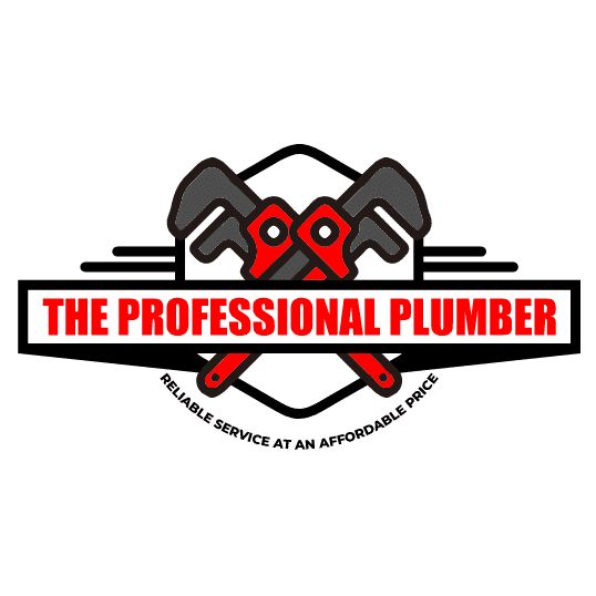 The Professional Plumber
